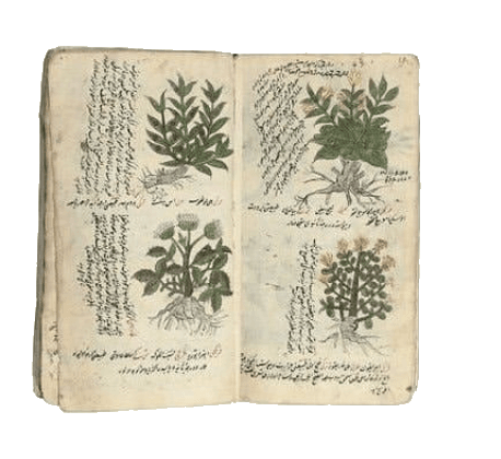 plant book
