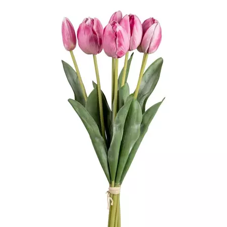 tulipaner i vase – Google Søgning