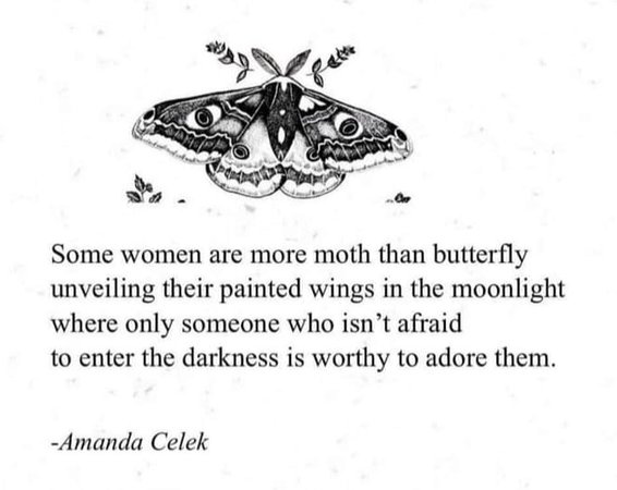 Moth Quote