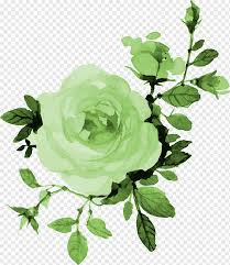 green flower watercolor - Google Search