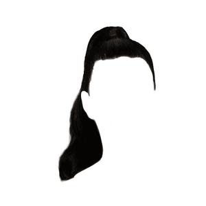 BLACK HAIR PONYTAIL PNG