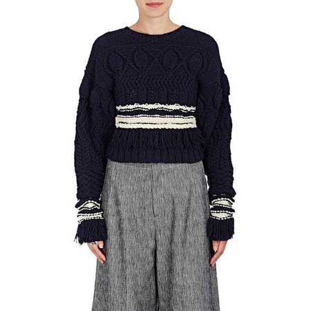 Derek Lam Women's Fringe Wool-Silk Crop Sweater