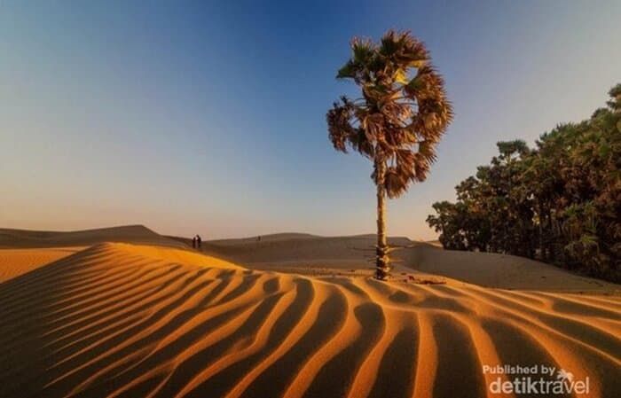 Deserts in Indonesia - Detik Travel - Indoindians.com