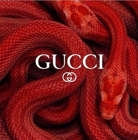 Gucci poster