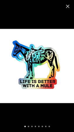 life is better with a mule rainbow sticker