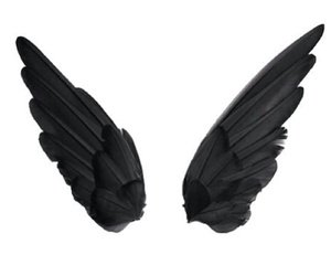 Wing png