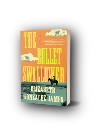 The Bullet Swallower books read reading
