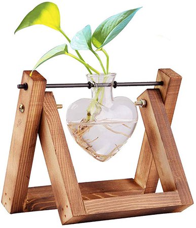 HUABEI Plant Terrarium Wooden Stand Love Shape, Air Planter Bulb Glass Vase Metal Swivel Holder Retro Tabletop Hydroponics Home Garden Office Decoration - 1 Bulb Vase: Amazon.ca: Patio, Lawn & Garden