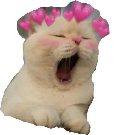 cat kitty meme crown heart Sticker by maldonadopi34