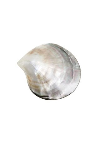 Violeta BY MANGO Seashell brooch