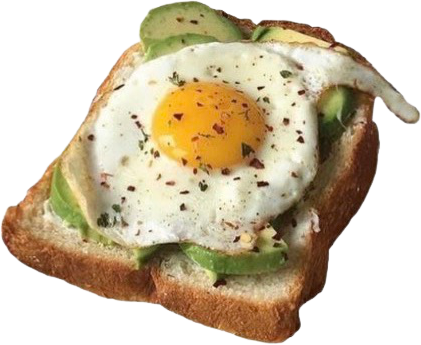 avocado and a fried egg on toast