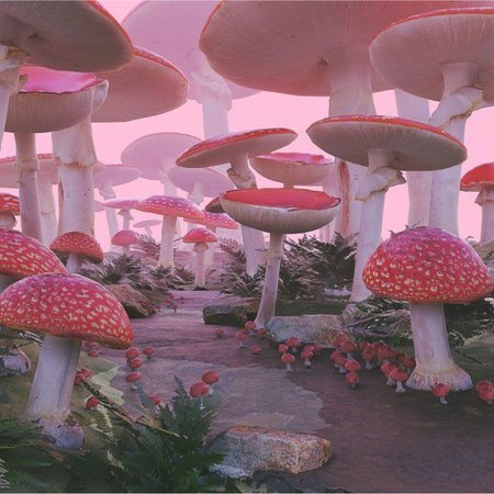 mushroom artsy aesthetic