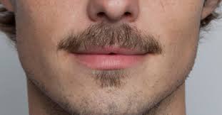 moustache facial hair - Google Search