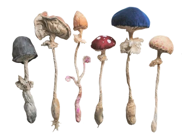fabric mushrooms