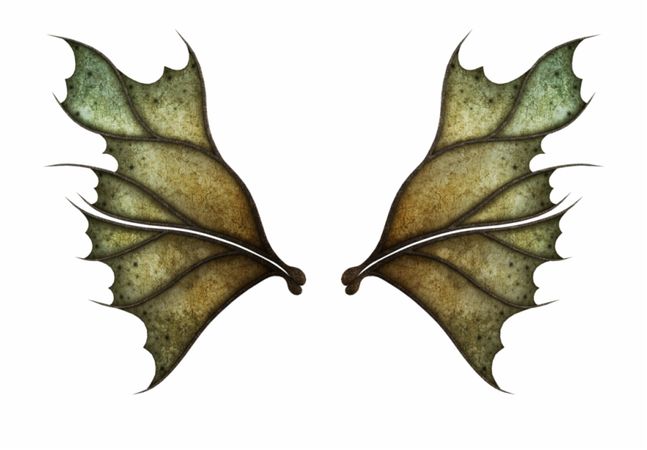 Fairy Wings Png Dark Fairy Wings Transparent - Clip Art Library