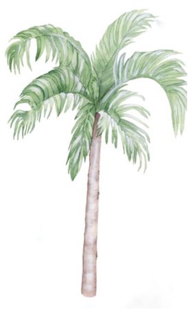 palm decal