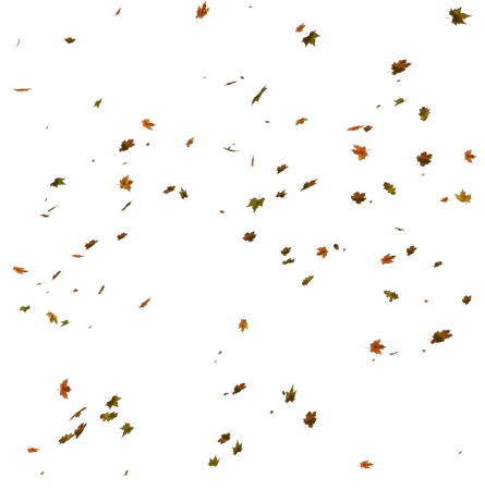 unrestricted___falling_autumn_leaves_by_frozenstocks-d7o1bok.png (889×899)