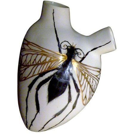 insect heart