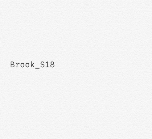 Brook_S18