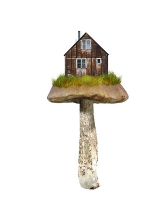 mushroom home