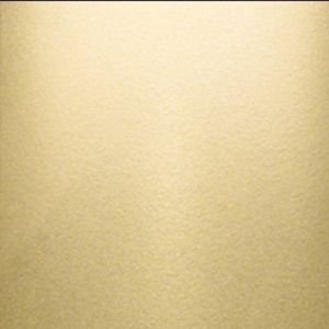 champagne gold paint swatch - Google Search