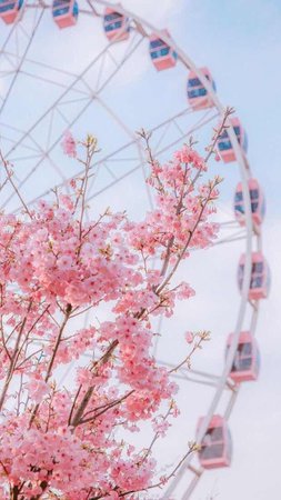 pink spring aesthetic - Google Search