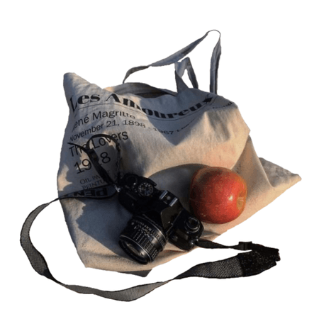 bag with camera PNG