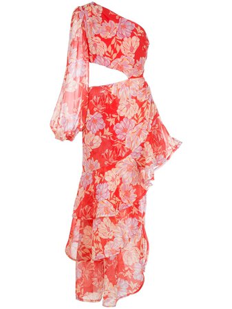 Alexis Sabetta Asymmetrical Floral Print Dress Ss20 | Farfetch.com