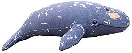 Amazon.com: Gray Whale Plush Toy - 10" Stuffed Animal Gray Whale: Toys & Games