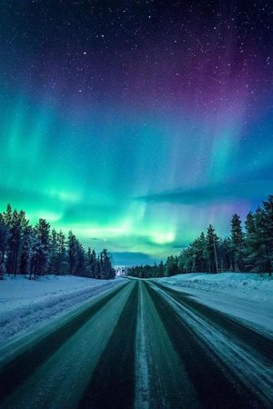 aurora borealis - Google Search