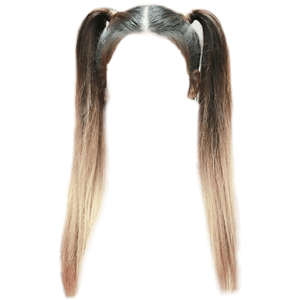 Brown and Blonde Ombre High Pigtails