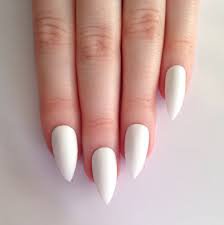 cat nails/claws