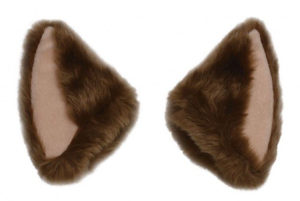 brown cat ears