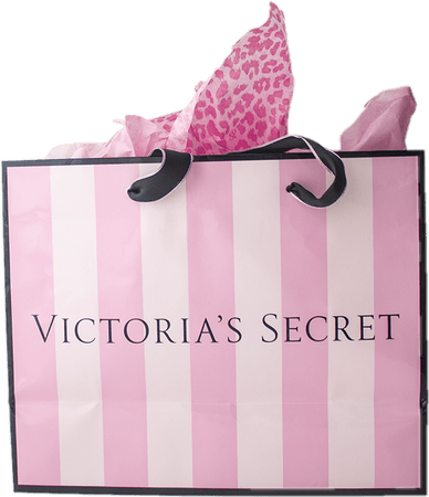 victoria's secret Victoria Secret bag