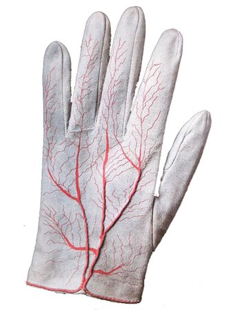 veins glove