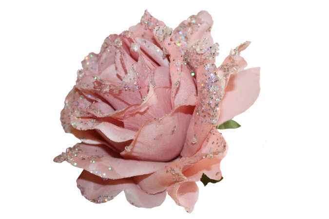 glittery rose