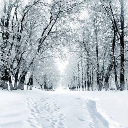 winter scenes - Google Search