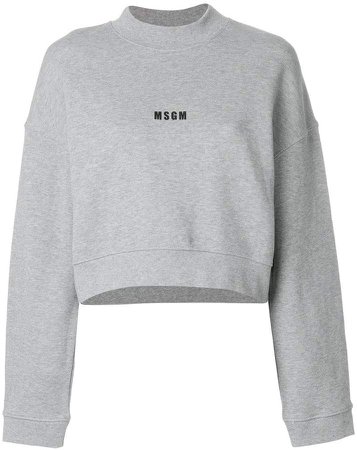 branded crop sweatshirt