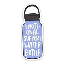 emotional support water bottle - Google Search