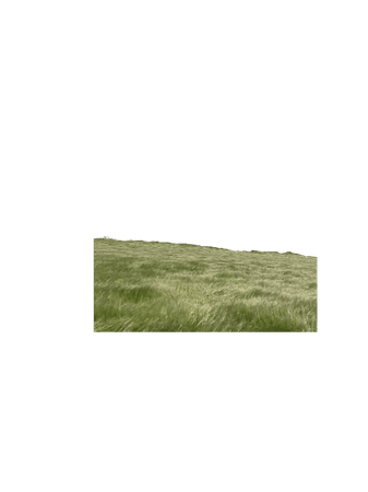 green grass landscape backgrounds