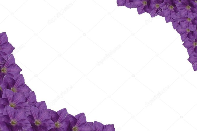 depositphotos_75942469-stock-photo-frame-violet-flowers.jpg (1023×682)