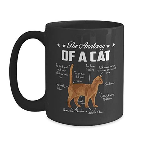 Perfect Cat Anatomy Mug - 15 oz Black Coffee | Tea Mug Kitten Cat Themed Gifts for Cat Owners: Amazon.ca: Home & Kitchen
