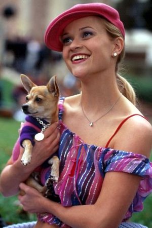 Elle Woods on Legally Blonde / A Different World Season 2 💖✨