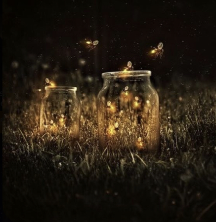 Fireflies aesthetic