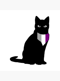 asexual cat - Google Search