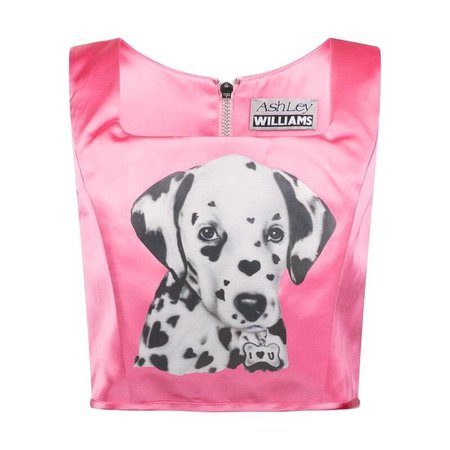 ashley williams puppy Pink corset