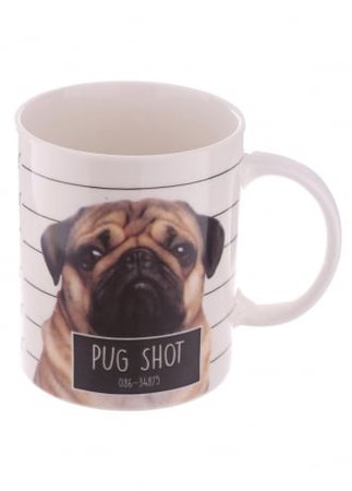 Pug Shot Bone China Mug | Attitude Clothing