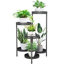 outdoor potted plants - Google Search