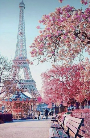 pink Paris