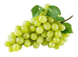 grapes background - Google Search